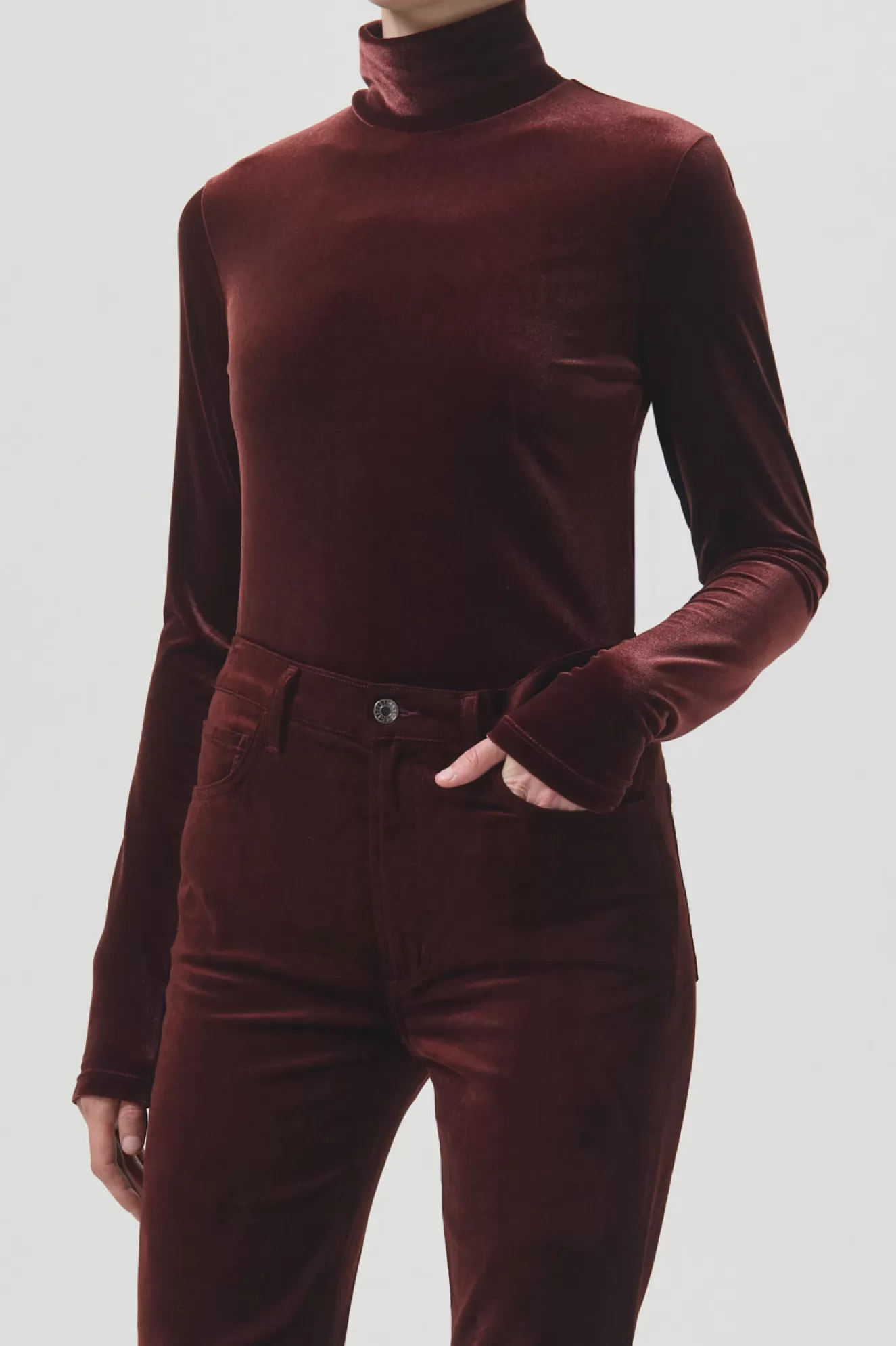 Best Pascale Velvet Turtleneck Tops